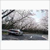 桜と。