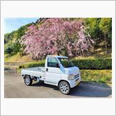 アクティトラックで桜を見てき ...