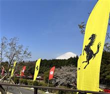 Ferrari Brunchにお邪魔しました
