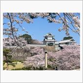 お花見日和に誘われて ♫