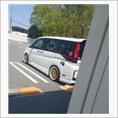 桜おわり・・・からの。