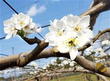 いやぁ〜年には勝てないなぁ…