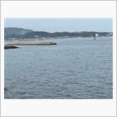 誰もいない海〜♪