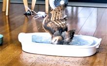 ここ最近…。