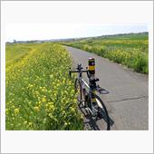 足慣らし～菜の花サイクリング