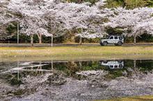 2022桜ドライブ④/下北山村･七色峡園地･川上村