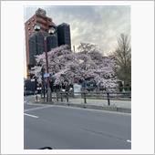 広瀬橋は