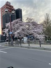 広瀬橋は