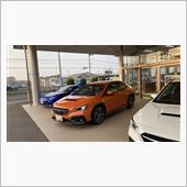 12ヶ月点検に出してみた。