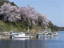 ジムニーでぶらととち桜旅(21日目 能登残り半周も桜三昧) ジムニーでぶらととち桜旅(21日目 能登残り半周も桜三昧)