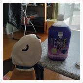 ちょっと気分を変えて、