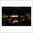 春の京都紀行 Day1 夜の二条城