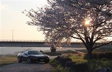 桜+NSX  たいき号