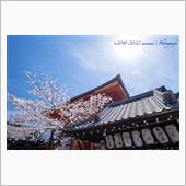 春の京都紀行 Day2-2  ...