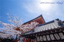 春の京都紀行 Day2-2 哲学の道〜円山公園〜祇園白川