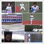 野球観戦（埼玉西武vsオリッ ...