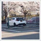 クルマ．．．好きなんだね