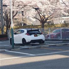 クルマ．．．好きなんだね