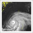 台風1号 マラカス