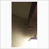 お出迎え