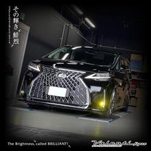 純正LEDフォグ交換でさらに見易く照射！純正LED交換型フォグバルブ！