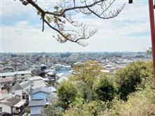 本日は