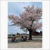 久々の友達とツーリング
