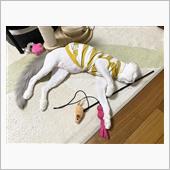 長毛をカットされてしょんぼり ...