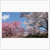 大草城址公園