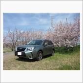 燃費記録を更新しました！