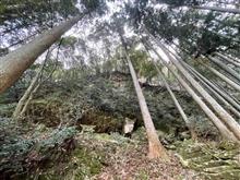 面白いモノ見っけ！