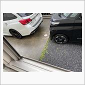 今日も雨...