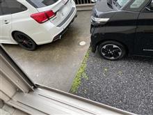 今日も雨...