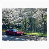 【桜+NSX】vol.6 N ...