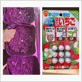 イチゴを種から🍓