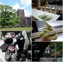 東大のソフトはセルフ・・安くて楽して美味しくてっか　🍦^^!　