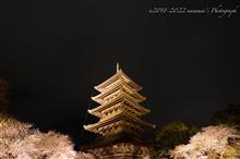 春の京都紀行 Day4-3 大覚寺〜烏丸御池〜東寺(最終回) 春の京都紀行 Day4-3 大覚寺〜烏丸御池〜東寺(最終回)