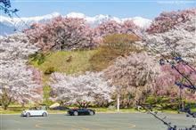 2022桜ドライブ⑧前編/中川村～駒ヶ根～高遠