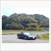 チューリップと安田要害山