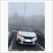 朝の大観駐車場