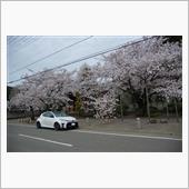 速い車だけど・・・・