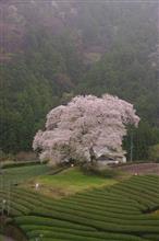 3年ぶりに 3年ぶりに