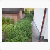 志布志へ弾丸帰省、そして・・・