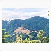 ドライブ＆世界遺産「吉野山」 ...