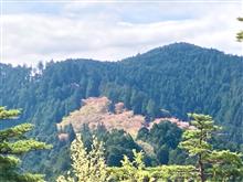 ドライブ＆世界遺産「吉野山」ウォーキング
