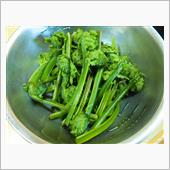 春を感じる山菜「こごみ」をい ...