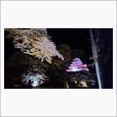 鶴ケ城でお写ん歩 (夜桜)