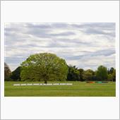 昭和記念公園花だより（202 ...