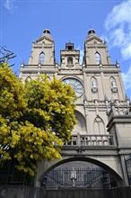 岐阜にもタルタリア～☆