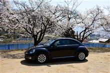 愛車と出会って、２年（フライング！）